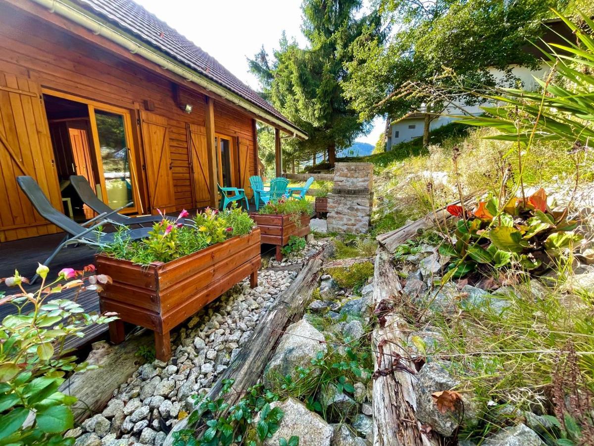 Chalet Des Feignes 라브레세 외부 사진
