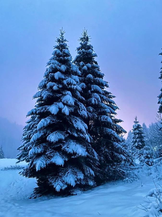Chalet Des Feignes 라브레세 외부 사진